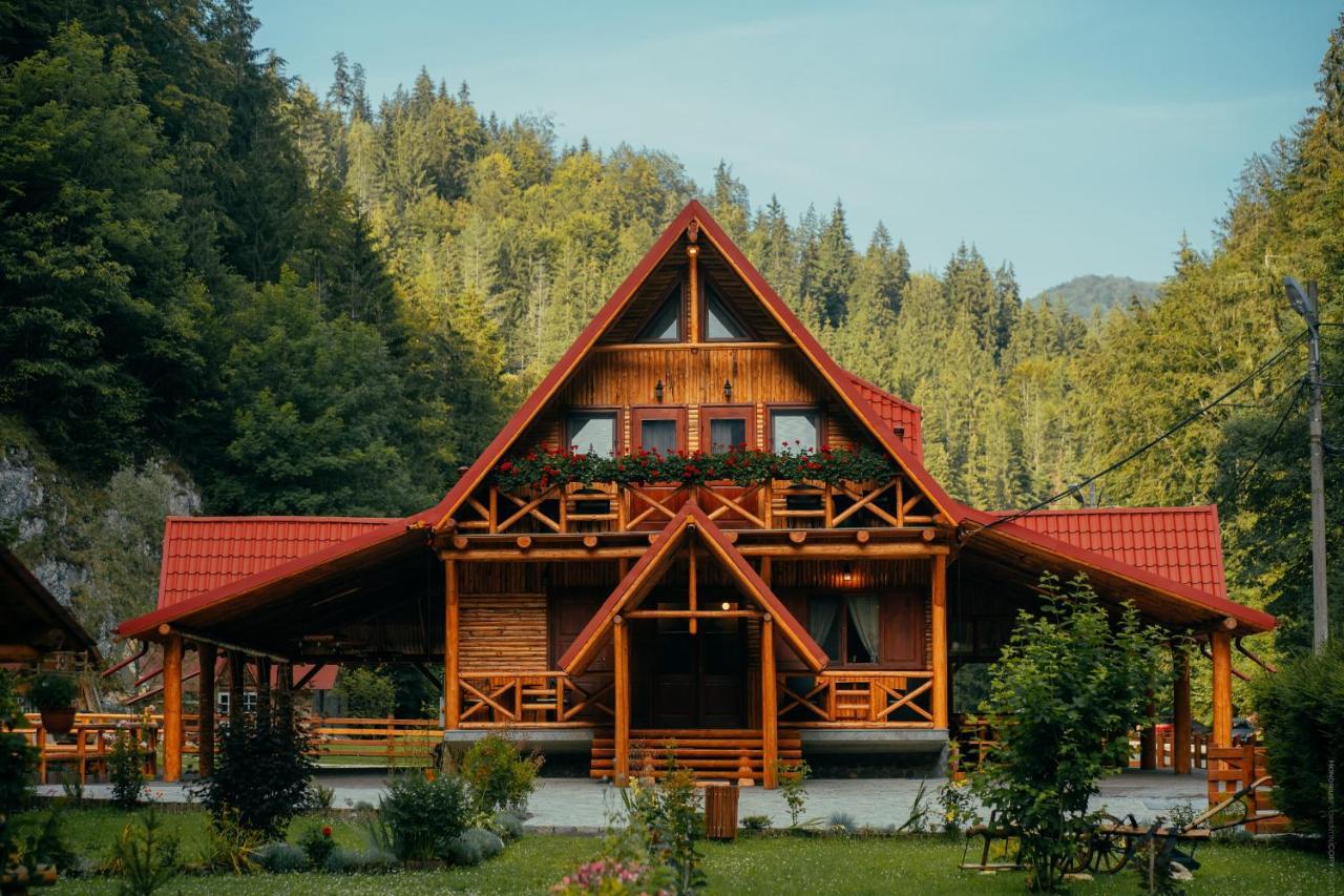 Casa Cheile Dâmbovicioarei - Cabana 1 Dâmbovicioara Exterior foto