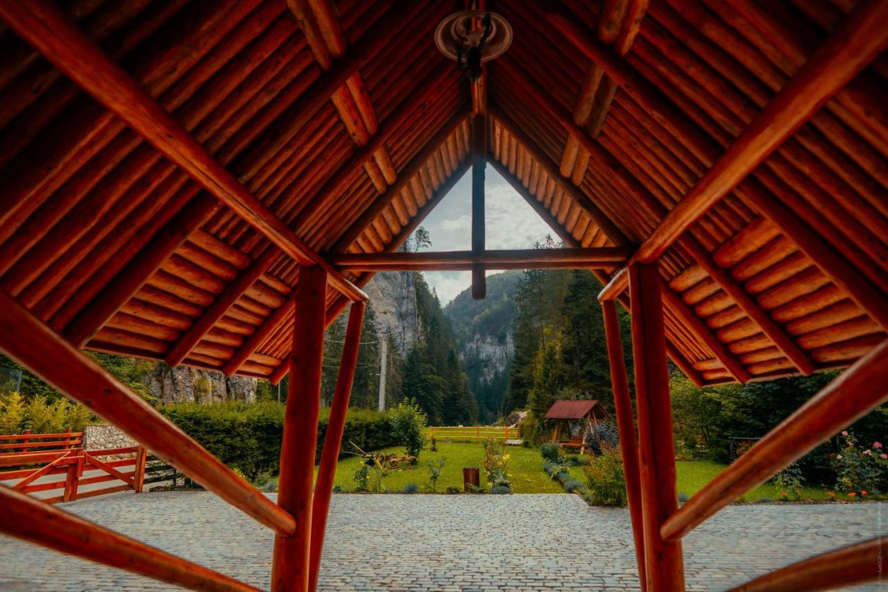Casa Cheile Dâmbovicioarei - Cabana 1 Dâmbovicioara Exterior foto
